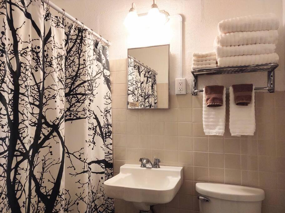 #02 - Unique Lakeside Studio Cottage- Pet Friendly Hot Springs Exteriör bild
